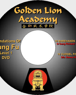 Kung Fu Foundation Techniques Exercises on DVD