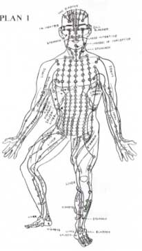 Dim Mak Pressure Points Charts Instruction