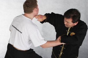 dim mak pressure points self defence martial arts