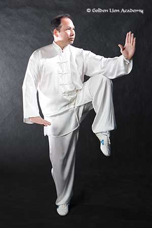 Learning Tai Chi Online, the Crane Stance