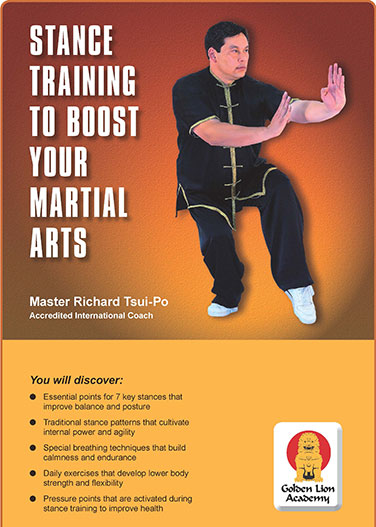 Stance Training to Boost Your Martial Arts