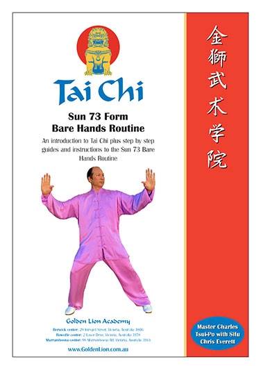 Tai Chi Sun Style 73 Form Workbook