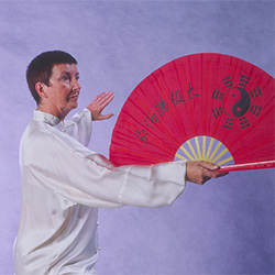 Tai Chi weapons Fan 