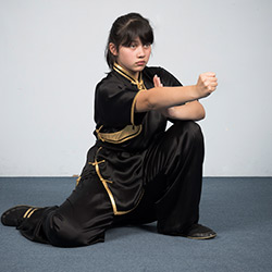 Kung Fu Childrens Classes