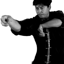 kung fu crane technique Richard Tsui-Po Golden Lion