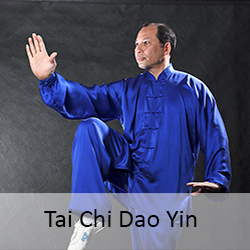 tai-chi-dao-yin