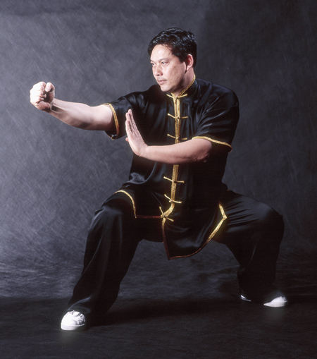 kung fu horse stance with square punch