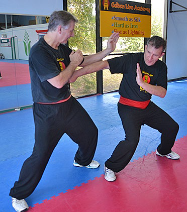 Shaolin Kung Fu 5 Animals Self Defence - Golden Lion Academy